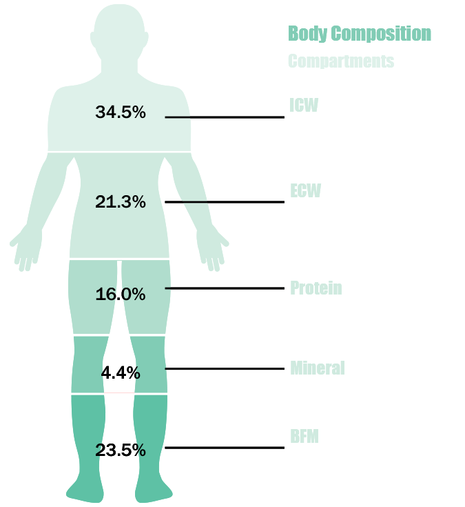 DEXA vs Bioelectrical Impedance Scales: Which is Better?