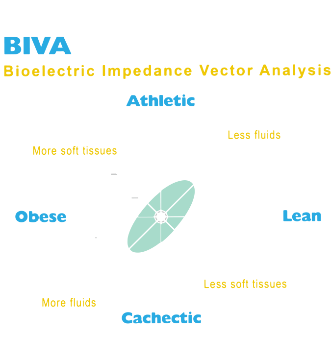 Bioelectirc Impedance Vector Analysis