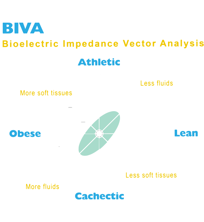 bodivis Bioimpedance BMR Body Composition Analyzer BCA-2A