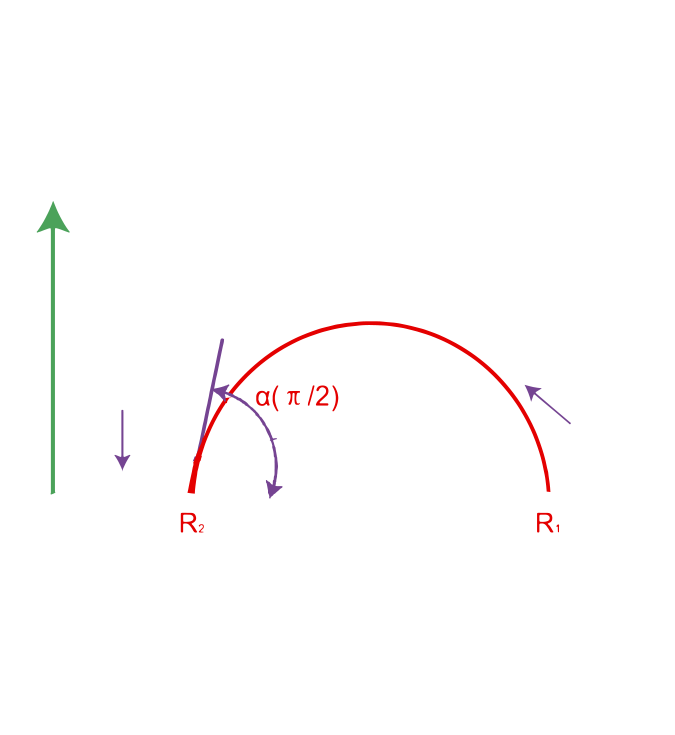 Phase angle and health determinants