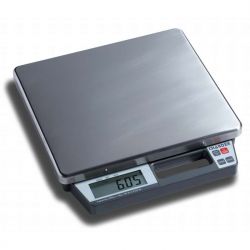 Portable Bench Scale R250