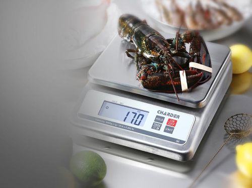 Butcher Scale, Meat Scale, Meat Weight Scale